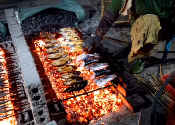 Frisch gegrillter Fisch und Meeresfrüchte über glühender Holzkohle